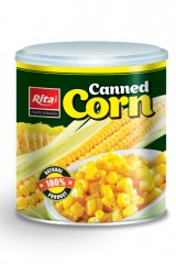 Corn_01