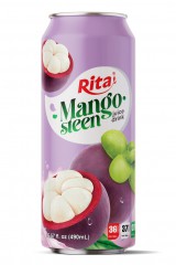 real_fruit_mangosteen_fruit_juice_combinations_drink_490ml_cans_