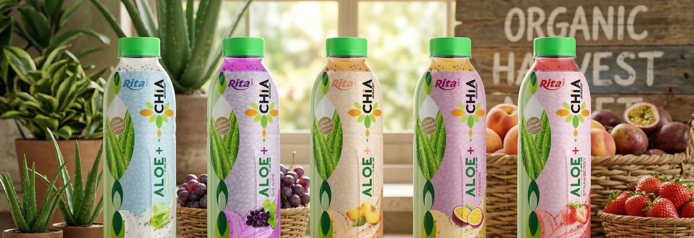 مشروب عصير الفواكه البنفسجية من RITA محاط بالتوت