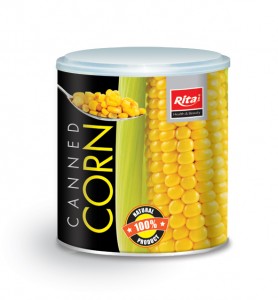 Corn_03