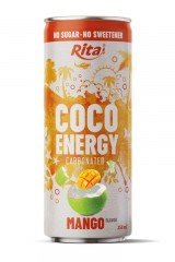 Rita_Coco_Energy_Carbonated_Mang